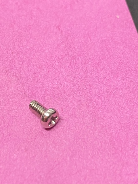 SWF SCREW (M2*L4)